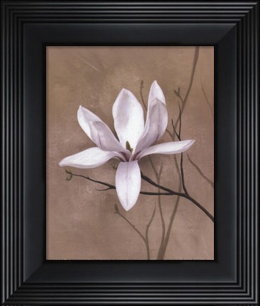 Framed Delicate Beauty II Print