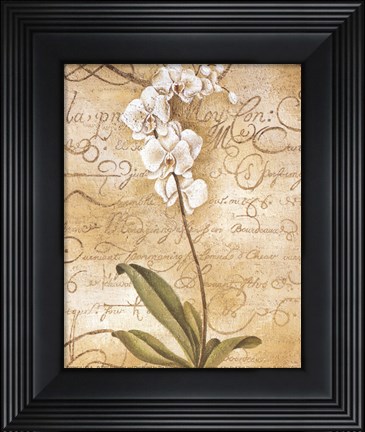 Framed Calligraphy Orchid Print