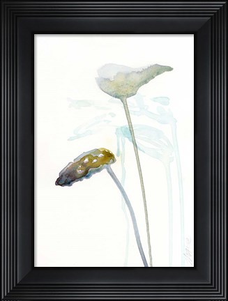 Framed Botanical Study I Print