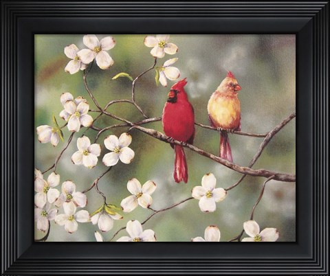 Framed Cardinals Print
