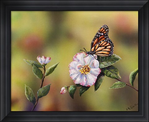 Framed Monarch With Camellia Print
