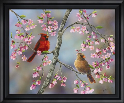 Framed Spring Cardinals Print