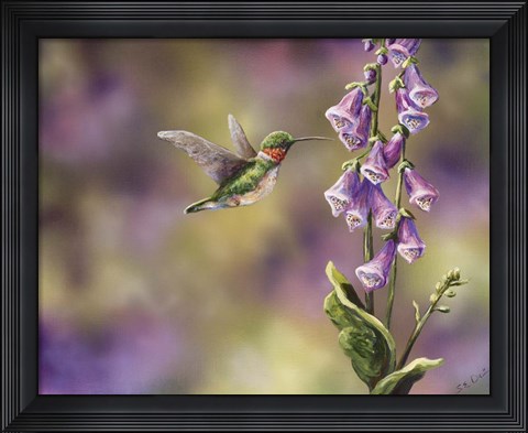 Framed Spring Hummingbird Print