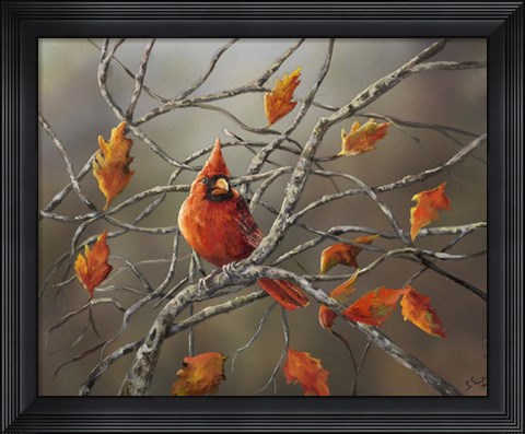 Framed Fall Cardinal Print