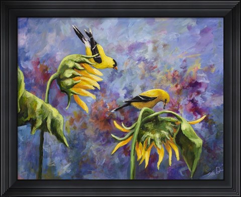 Framed Finches with Sunflowers Print