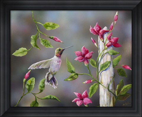 Framed Hummingbird with Flowers Print