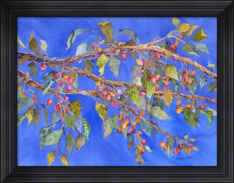 Framed Crab Apple III Print