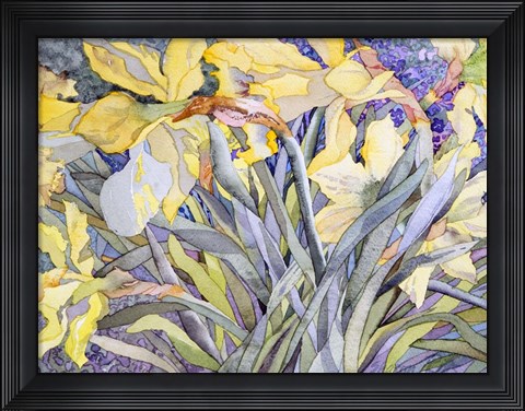 Framed Daffodils, Van Vleck Print