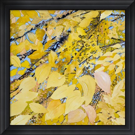 Framed Golden Leaves Print