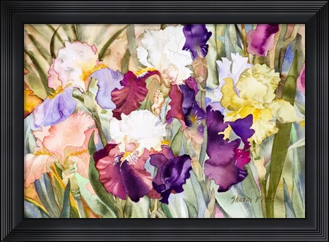Framed Iris Garden I Print