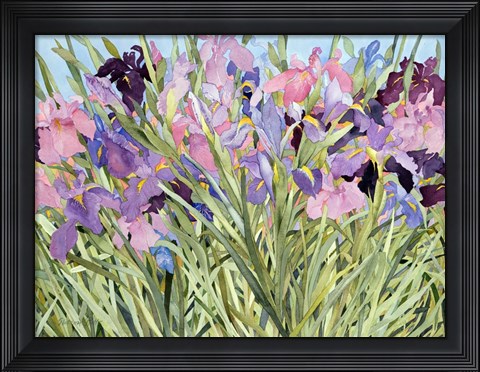 Framed Iris Garden X Print
