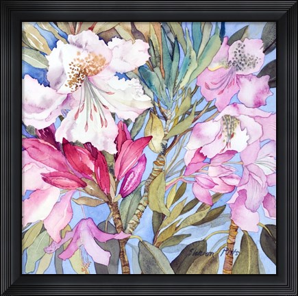 Framed Rhododendron I Print