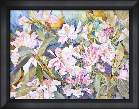 Framed Rhododendrons Print