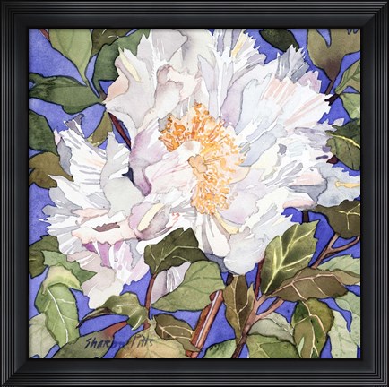 Framed White Peony Print
