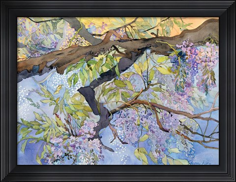 Framed Wisteria, Van Vleck Print