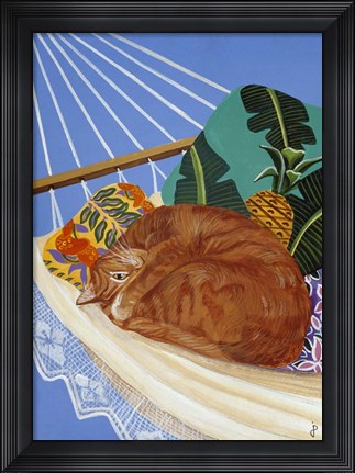 Framed Catnapping In A Hammock Print
