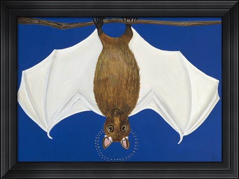 Framed Bat Print