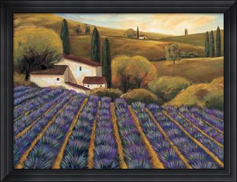 Framed Field of Lavender II Print