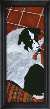 Framed Willy And His Big Brown Eyes Print