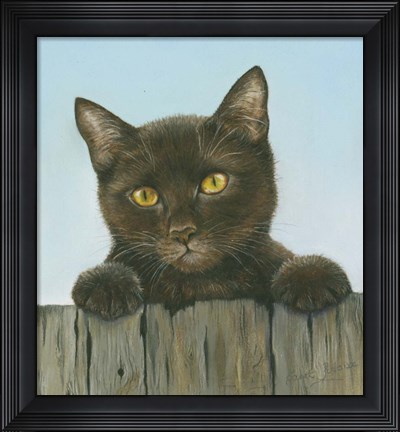 Framed Black Kitten Print