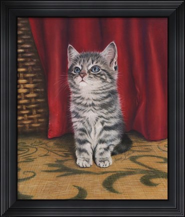 Framed Grey Kitten And Red Curtain Print
