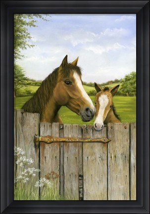 Framed Mother And Foal Print