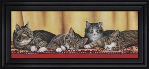 Framed Relaxing Tabbies Print