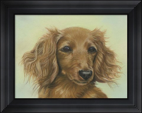 Framed Sophie Print