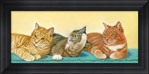 Framed Tabbies Print