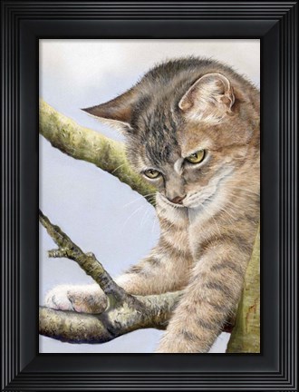 Framed Tabby In Tree Print