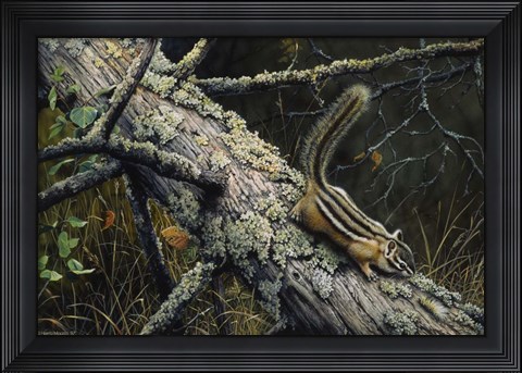 Framed Eastern Chipmunk Print