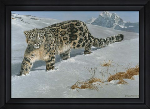 Framed Snow Leopard Print