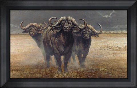 Framed Cape Buffalos Print