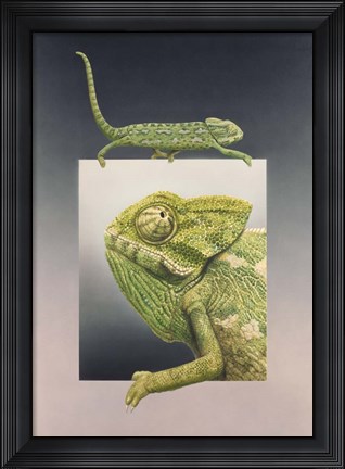 Framed Chameleon Print