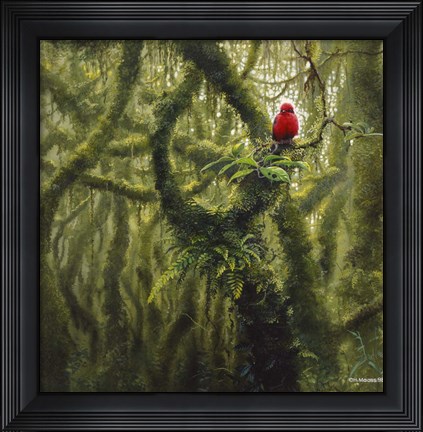 Framed Vermilion Flycatcher Print