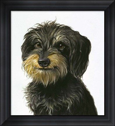 Framed Dog Print