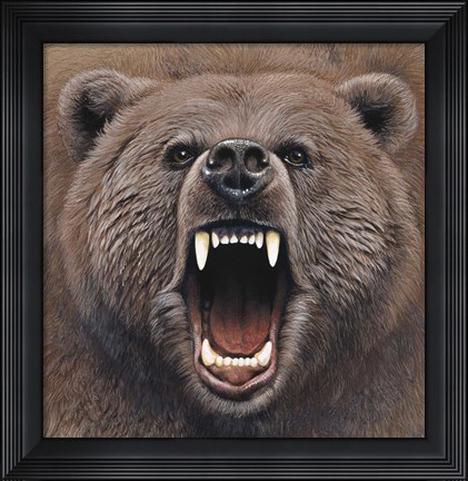 Framed Bear 2 Print