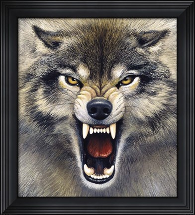 Framed Wolf Print