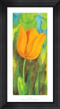 Framed Tulipano Print