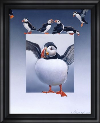 Framed Puffins Print