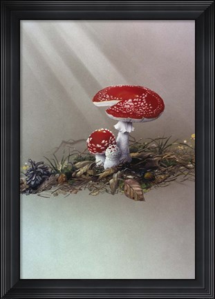 Framed Mushrooms Print