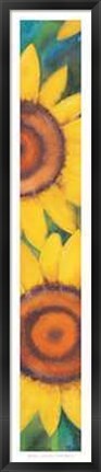 Framed Girasoli Print