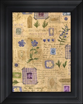Framed Nature Walk Print