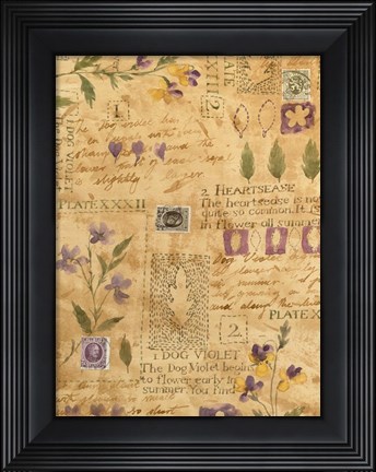Framed Flower Collage 3 Print