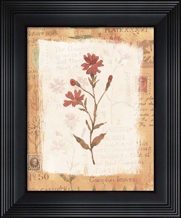 Framed Flower Print