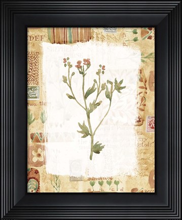 Framed Orange Flower 2 Print