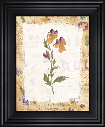 Framed Dog Violet Print