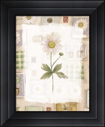 Framed Daisy Print
