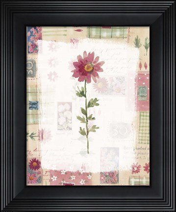 Framed Michaelmas Daisy Print