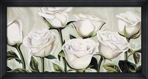 Framed Rose Bianche Print